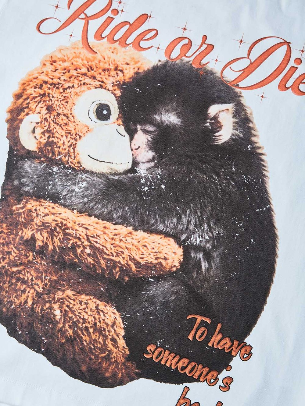 Ride or Die Unisex Tişört